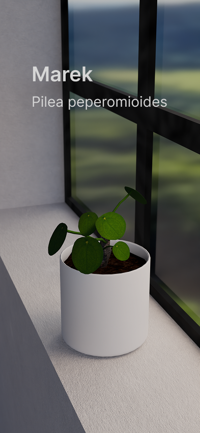 Picture 1 of the Garden concept