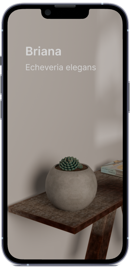 Image of my project: Garden