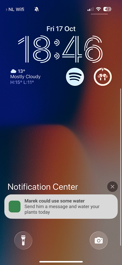 Picture 3 of the Garden Concept